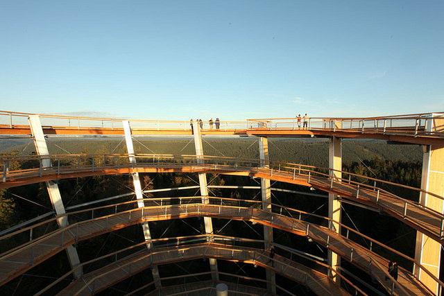 Baumwipfelpfad Bad Wildbad