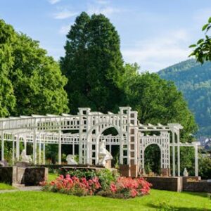 Botanische Kurparkführung 394 Botanische Kurparkführung