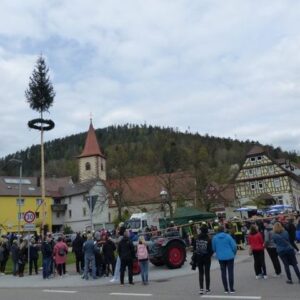 Maibaumaufstellung in Calmbach 346 Maibaumaufstellung in Calmbach