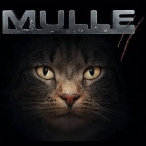 MULLE - live im JJs 226 MULLE - live im JJs