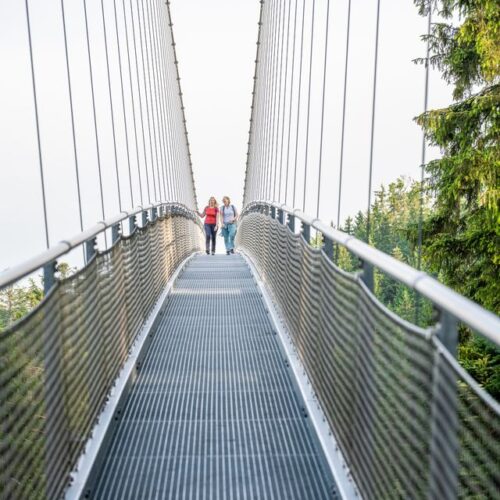 Tag des Wanderns: Entdecke die Wilde Seite von Bad Wildbad