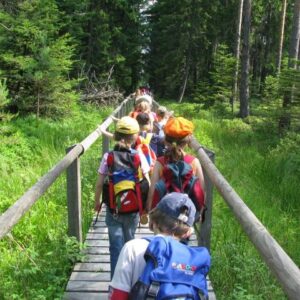 Moorarbenteuer 410 Moorarbenteuer