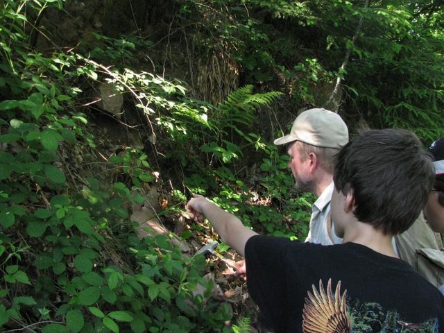 Geo-Spaziergang am Kaltenbronn