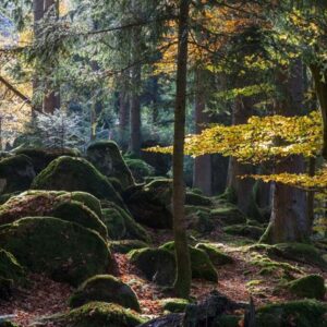 Événements 250 Im Rythmus der Natur - Herbst
