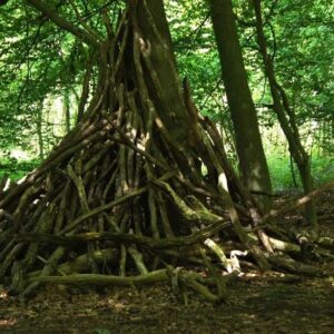 Lernen, wo Natur erlebbar wird 386 Lernen, wo Natur erlebbar wird