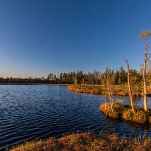 Mai- und Moortour 490 Mai und Moortour