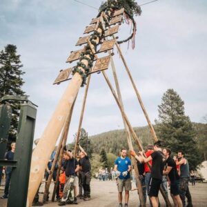 Maibaumfeier 394 Maibaumfeier