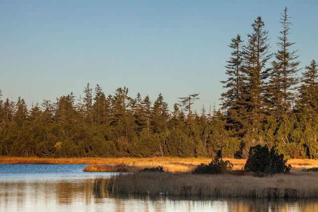 Moorgeschichte gestern und heute
