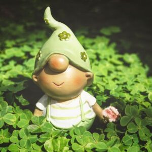 Unterwegs im Wichtelwald 242 Unterwegs im Wichtelwald