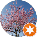 Wellnesshotel Nordschwarzwald 6 ChIJISX0tzAVl0cRZfzUv2eNNHo cb5f3b193be7ea770cd5260a7271d191