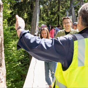 Führung auf dem Baumwipfelpfad - „VON DEN WURZELN ZU DEN WIPFELN“ 50 Führung auf dem Baumwipfelpfad - „VON DEN WURZELN ZU DEN WIPFELN“