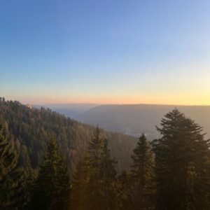 Morgenfrische, Natur und Ausblick 282 Morgenfrische, Natur und Ausblick