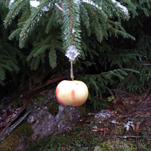 Winter im Wald