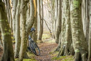 E Bike Verleih in Bad Wildbad im Schwarzwald