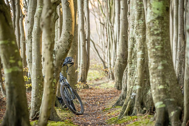 E-Bike Verleih in Bad Wildbad 5 E Bike Verleih in Bad Wildbad im Schwarzwald