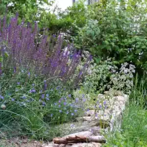 Lebensraum Garten: Mit naturnaher Gestaltung die Artenvielfalt fördern 426 Lebensraum Garten: Mit naturnaher Gestaltung die Artenvielfalt fördern
