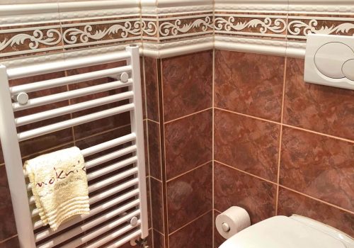 Doppelzimmer Rossini Superior Badezimmer und WC im Wellnesshotel Moknis im Schwarzwald