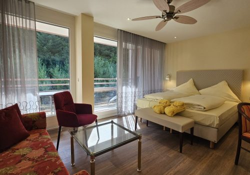 Badhotel Doppelzimmer Comfort mit Dusche zum Wald